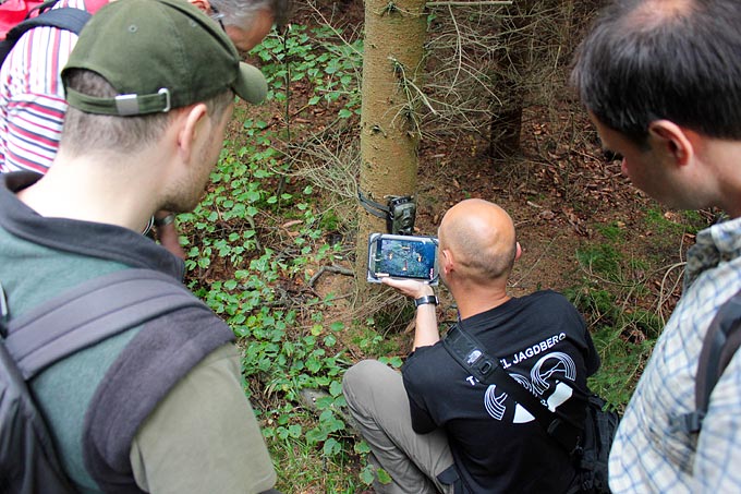 Die Schutzgebietsbetreuer erkunden eine Wildkatzen-Fotofalle. - Foto: Christiane Winkler