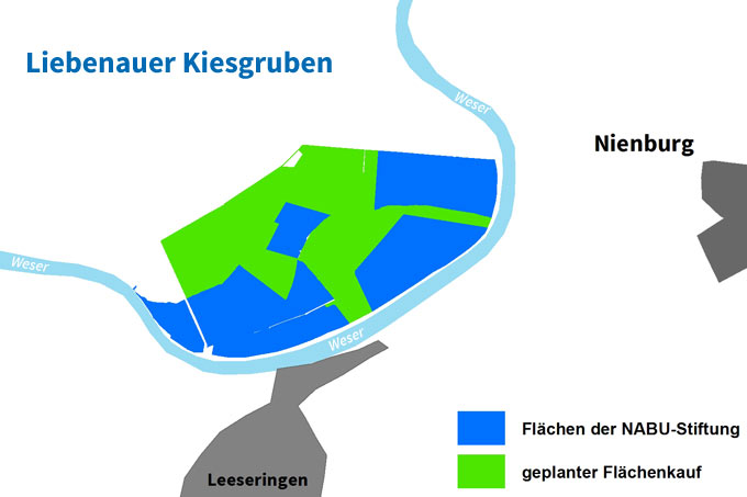 In den Liebenauer Kiesgruben bei Nienburg haben wir die letzten 66 Hektar für die Natur gekauft!