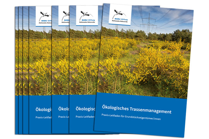 Ökologisches Trassenmanagement: Praxis-Leitfaden für Grundstückseigentümer/innen