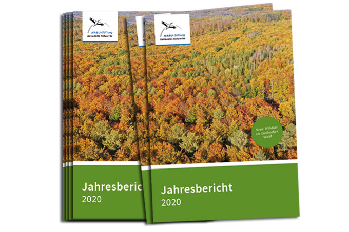 Der Jahresbericht 2020 der NABU-Stiftung Nationales Naturerbe