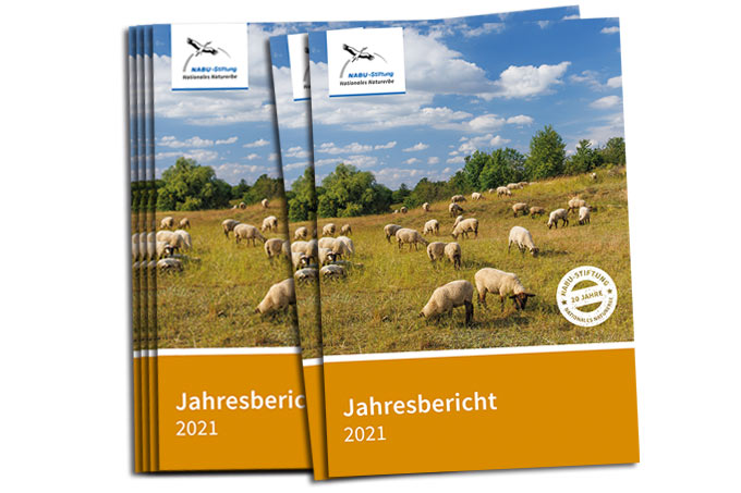 Jahresbericht 2021 der NABU-Stiftung Nationales Naturerbe