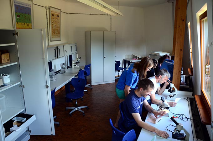Im neuen Labor der Blumberger Mühle - Foto: Mathias Otto