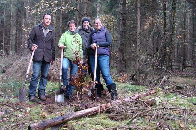 Freiwillige pflanzten junge Buchen im Naturschutzgebiet "Bärenbusch" bei Wusterhausen/ Dosse. - Foto: Ruth Ihle