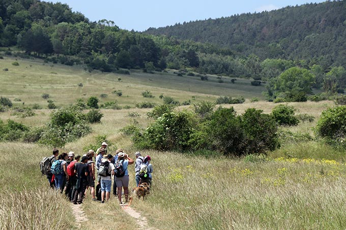 Auf Entdeckungstour im Orchideenparadies Rothenstein - Foto: Christiane Winkler