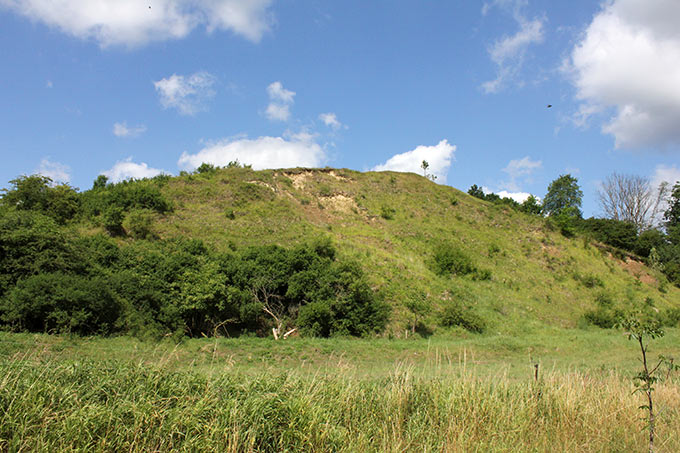 Der Kanonenberg bei Hohenfinow ist eines der wertvollsten Trockenrasenbiotope entlang des Oderbruchs. - Foto: Hans-Jürgen Sessner