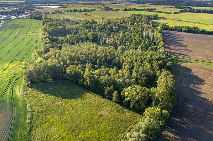 97 Hektar Wald in Nordbrandenburg in sicherer Stiftungshand