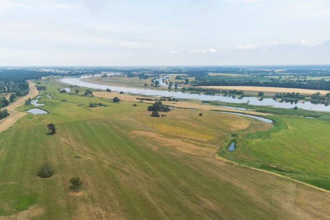 Diese Wiesenfläche an der Elbe bei Beuster wollen wir erwerben, um die Natur dauerhaft zu schützen. - Foto: Klemens Karkow