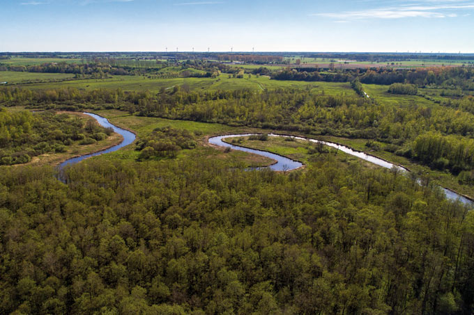 In unserer Obhut werden die naturnahen Flussufer der Recknitz auch in Zukunft das Landschaftsbild im Recknitztal prägen.  - Foto: Stefan Schwill
