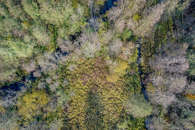 Niedermoorfläche im Biesenthaler Becken bei Berlin - Foto: NABU/Marc Scharping