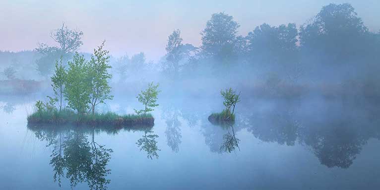 Kleine Inseln in einem schleswig-holsteinischen Hochmoor im Morgennebel Ende Mai. - Foto: NABU/CEWE/Marco Bergner