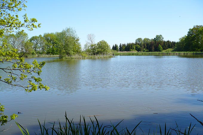 Kauernscher Teich