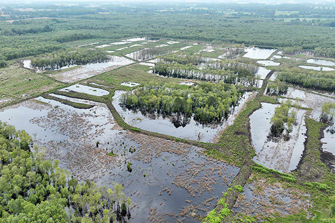 Vernässungsflächen im Sulinger Moor - Foto: Amt für regionale Landesentwicklung Leine-Weser