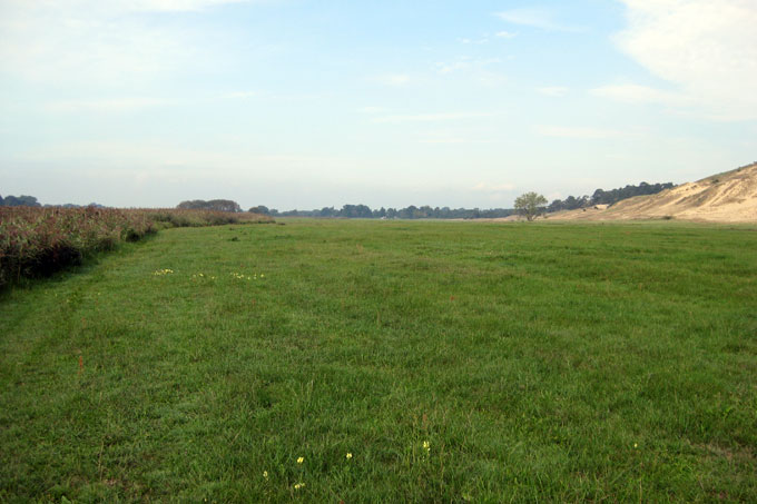 Löcknitztal-Altlauf mit Blick auf einen Teil der Binnendünen bei Klein Schmölen - Foto: Anja Kureck